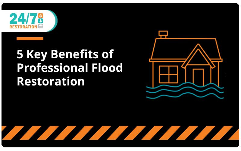 Calgary Flood Restoration: 5 Key Benefits of Professional Flood Restoration